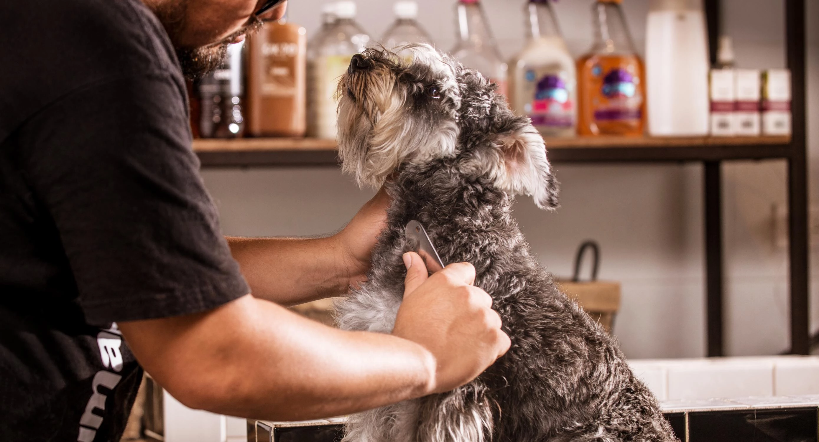 Stripping de 0 a 3 kg